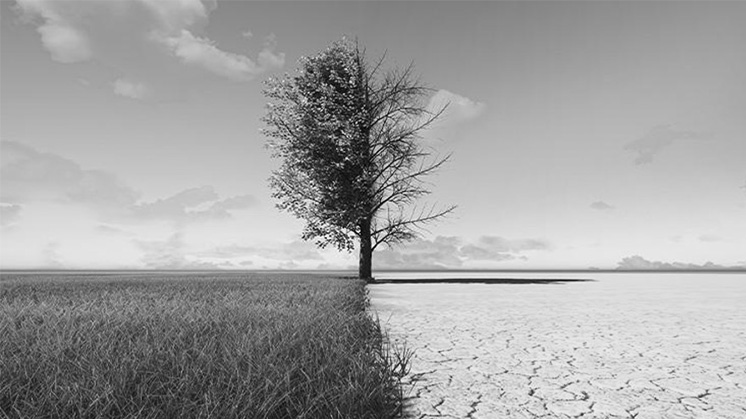 Cambio Climático y Resilencia Territorial